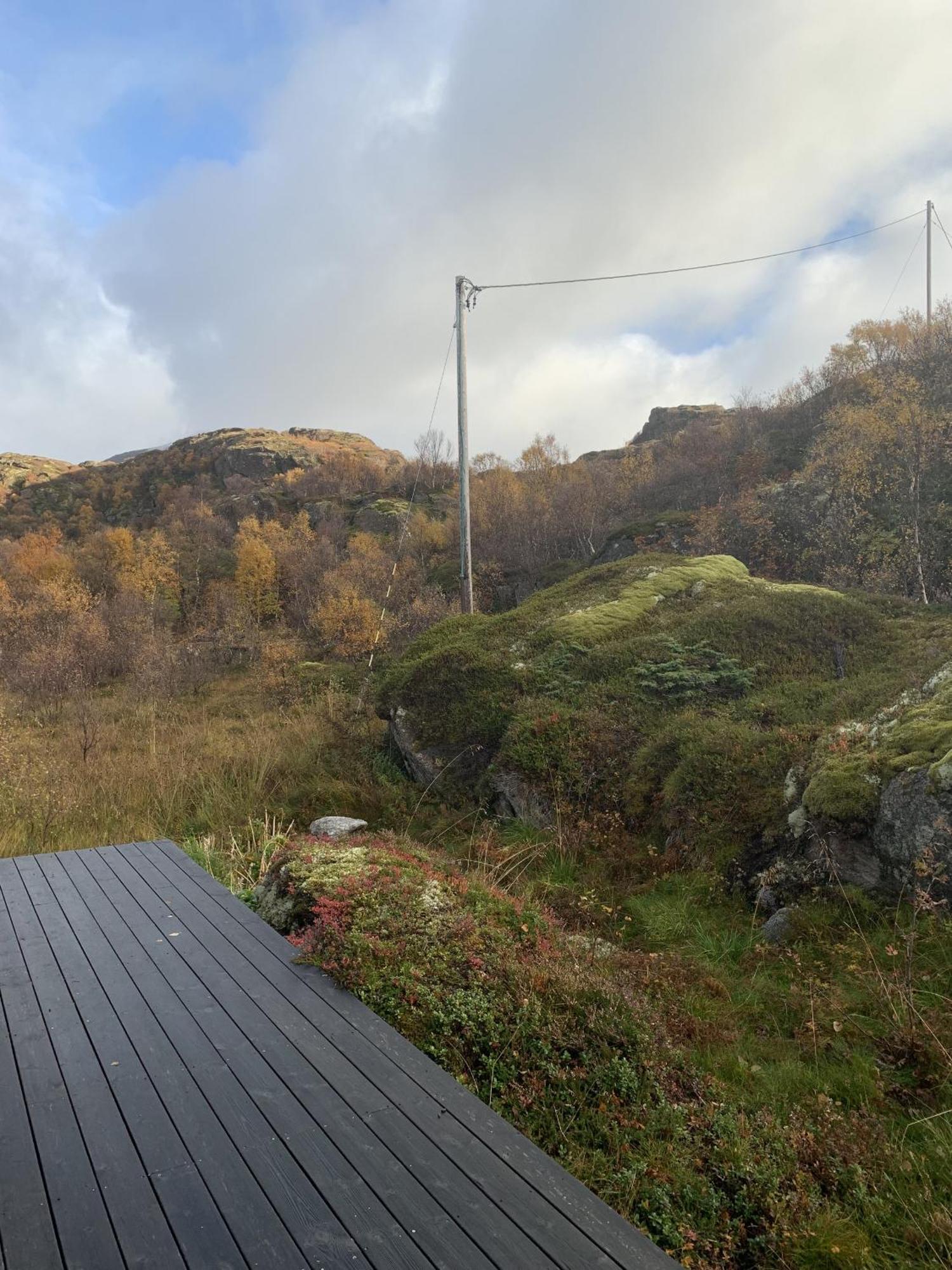 Unique Private Cabin In Lofoten ليكنيز المظهر الخارجي الصورة