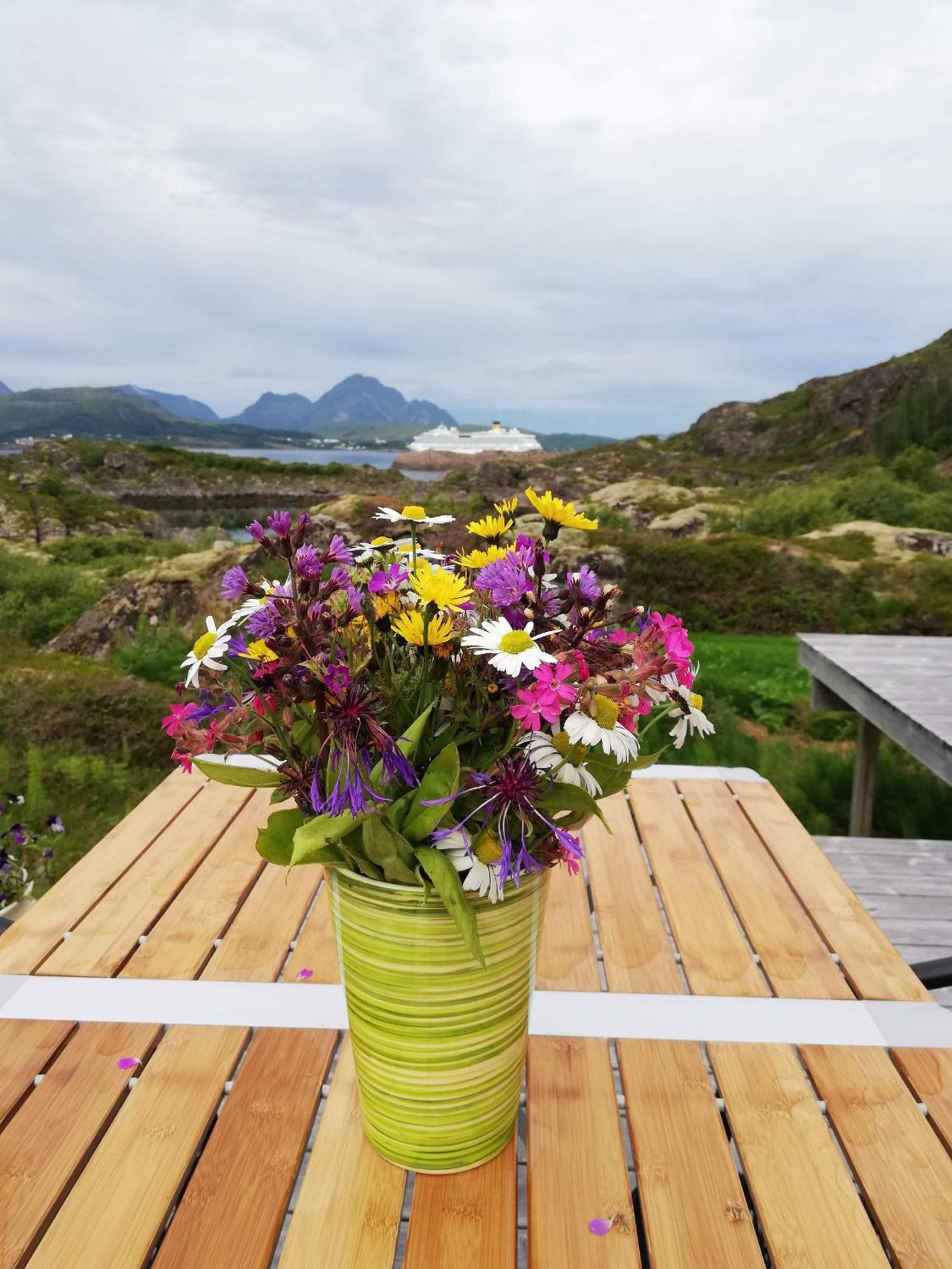 Unique Private Cabin In Lofoten ليكنيز المظهر الخارجي الصورة