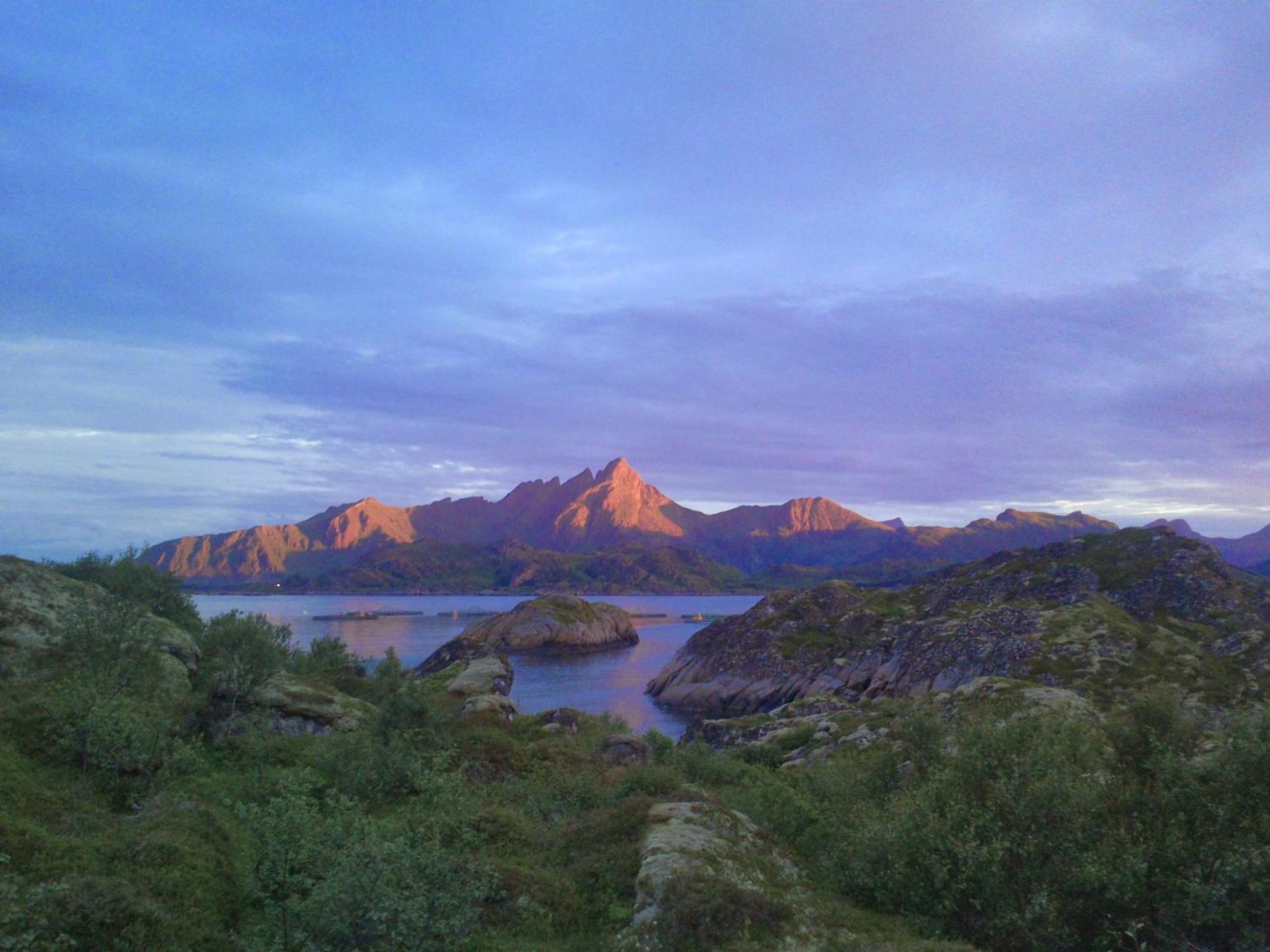 Unique Private Cabin In Lofoten ليكنيز المظهر الخارجي الصورة