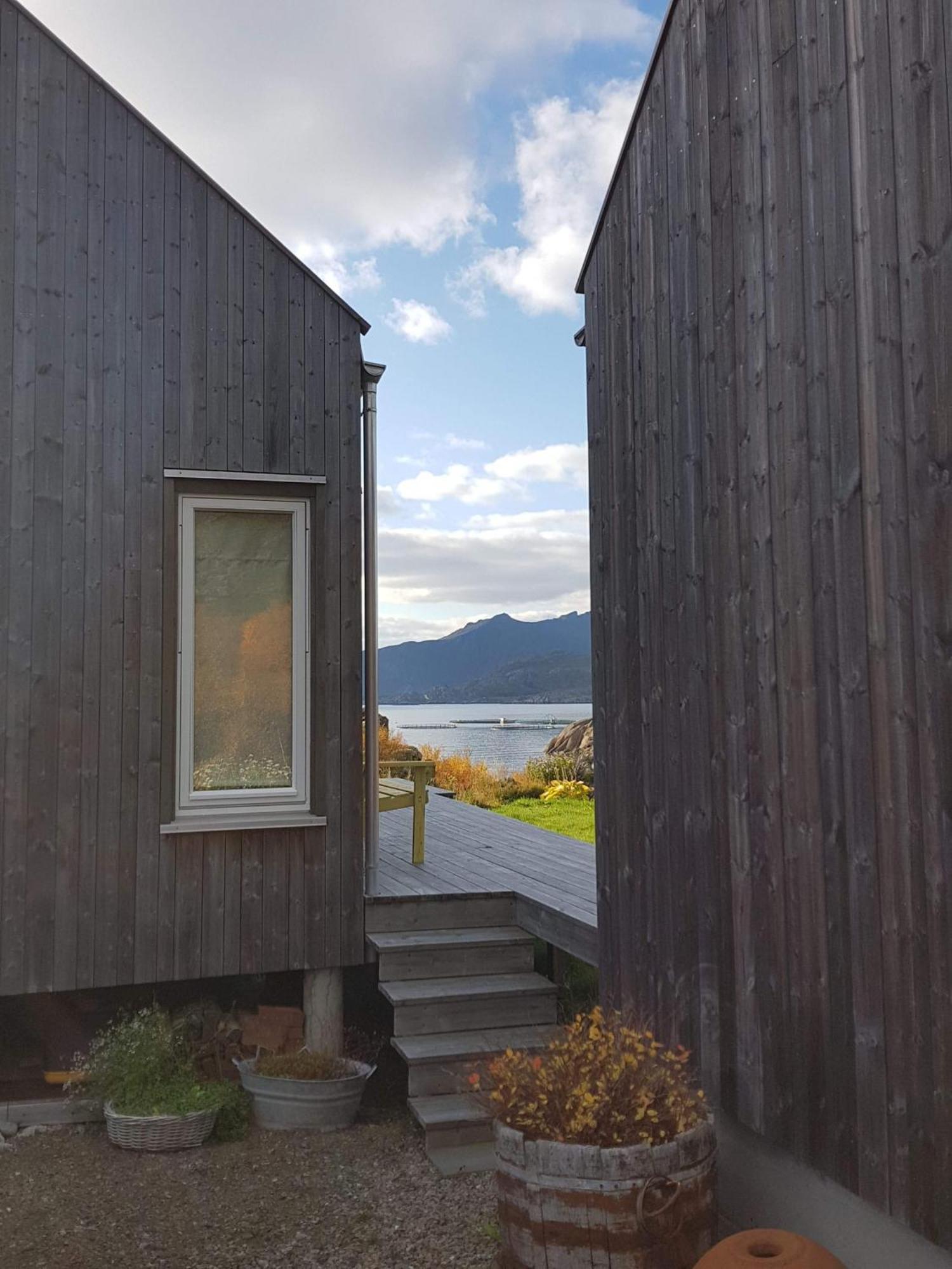 Unique Private Cabin In Lofoten ليكنيز المظهر الخارجي الصورة