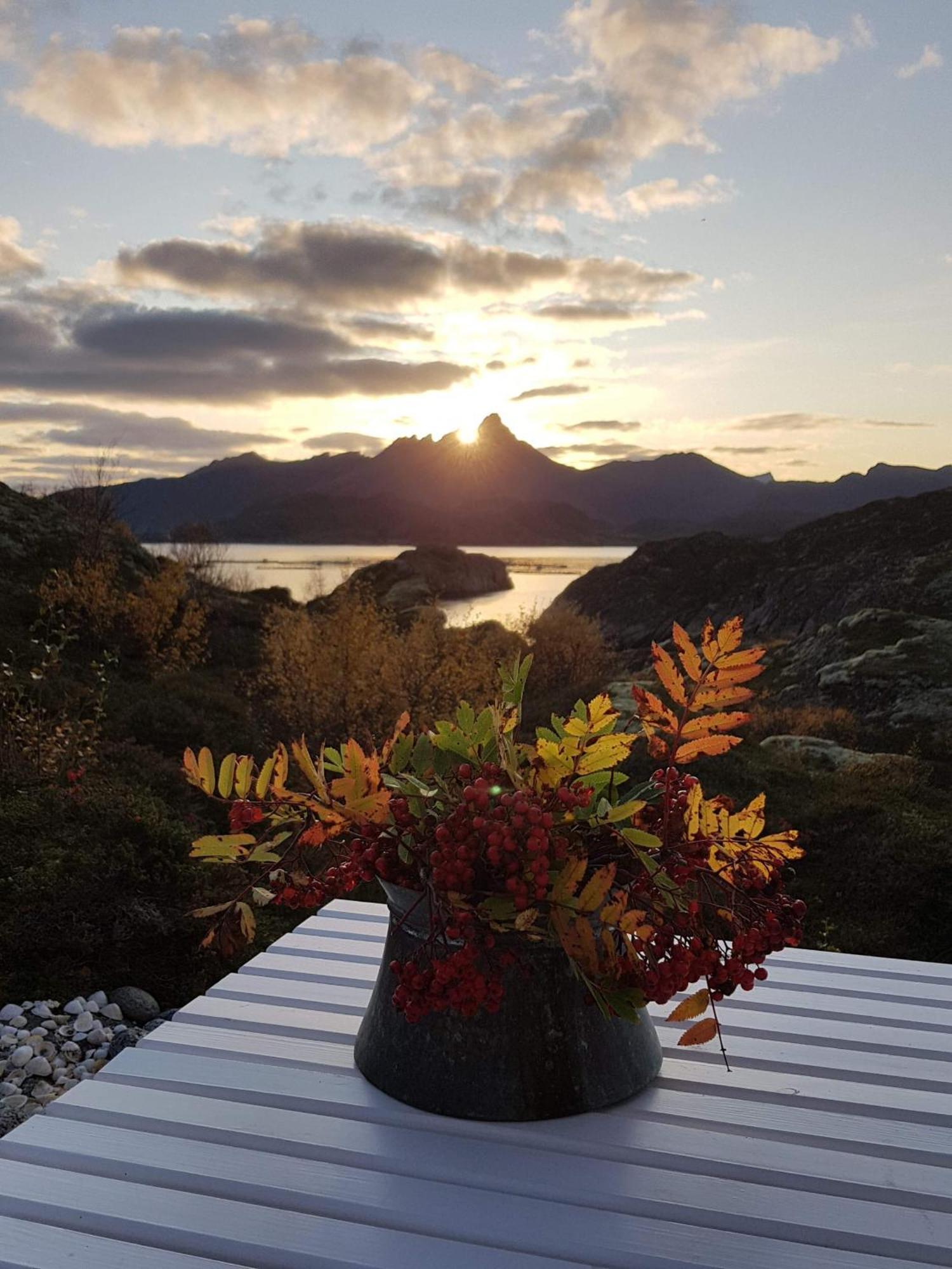 Unique Private Cabin In Lofoten ليكنيز المظهر الخارجي الصورة