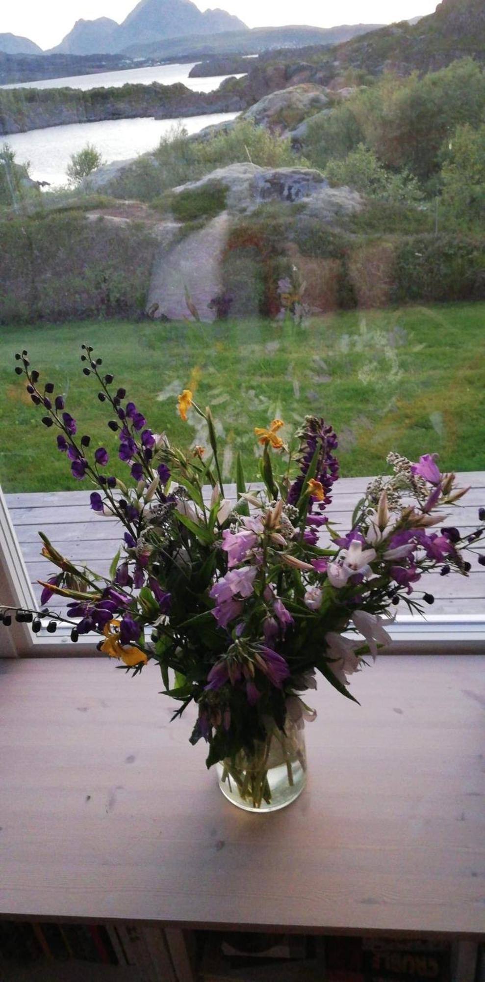Unique Private Cabin In Lofoten ليكنيز المظهر الخارجي الصورة