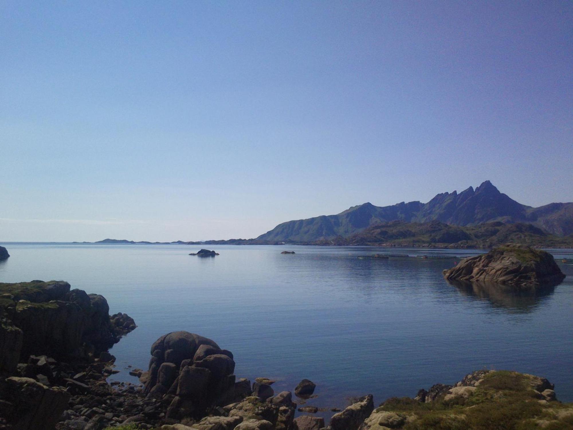 Unique Private Cabin In Lofoten ليكنيز المظهر الخارجي الصورة